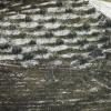A snowfall (08)